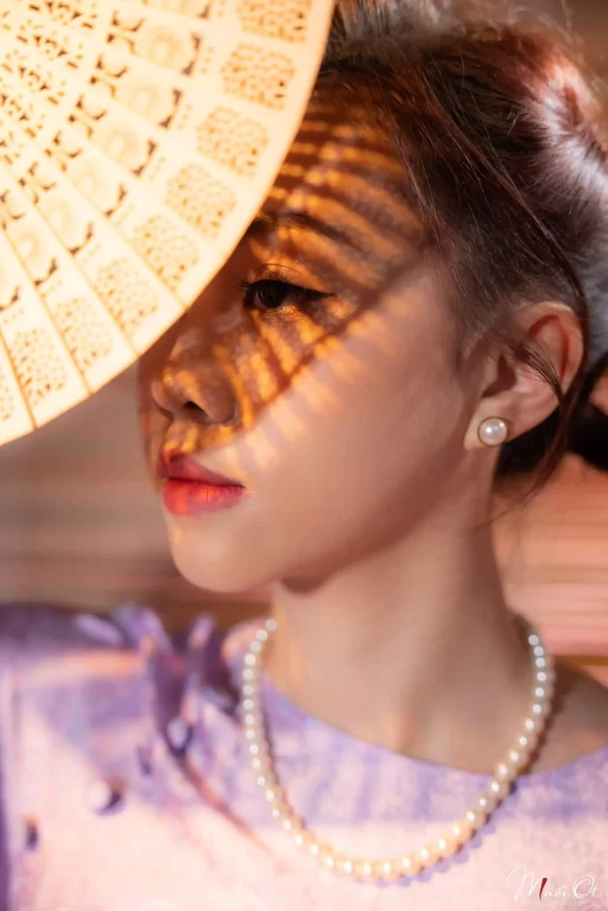 Concept Chụp Ảnh Áo Dài